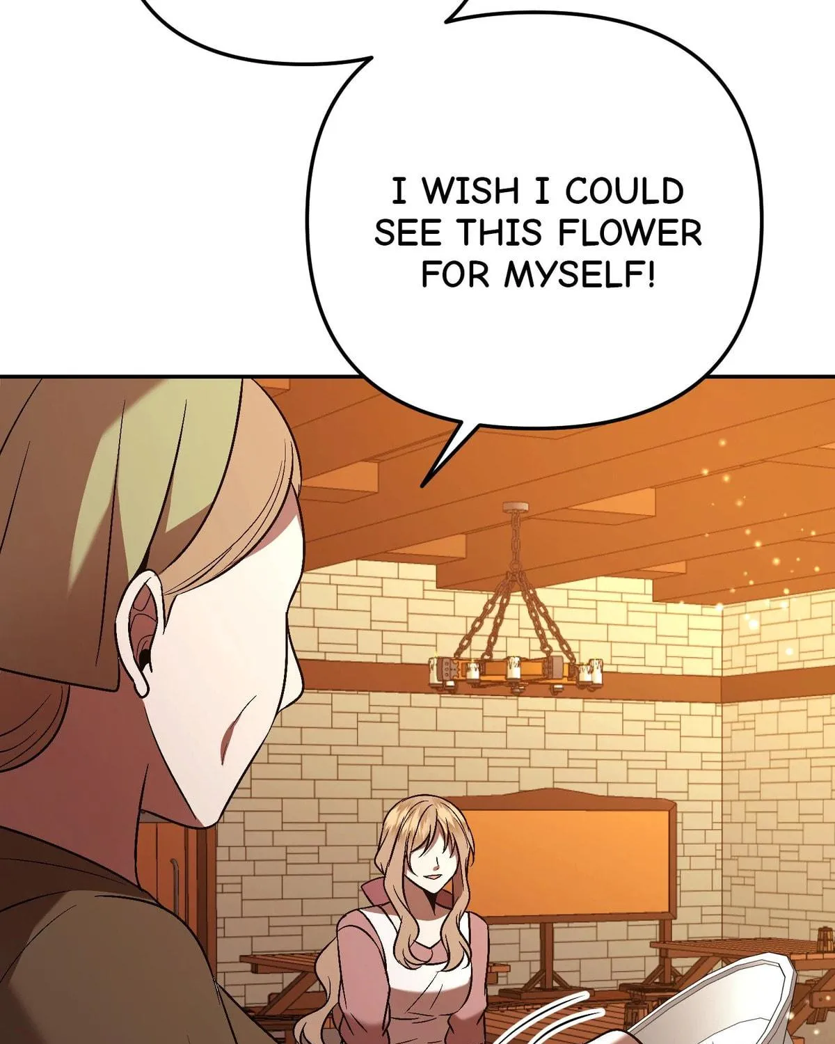 The Handmaiden Dreams at Sunset Chapter 55 page 133 - 