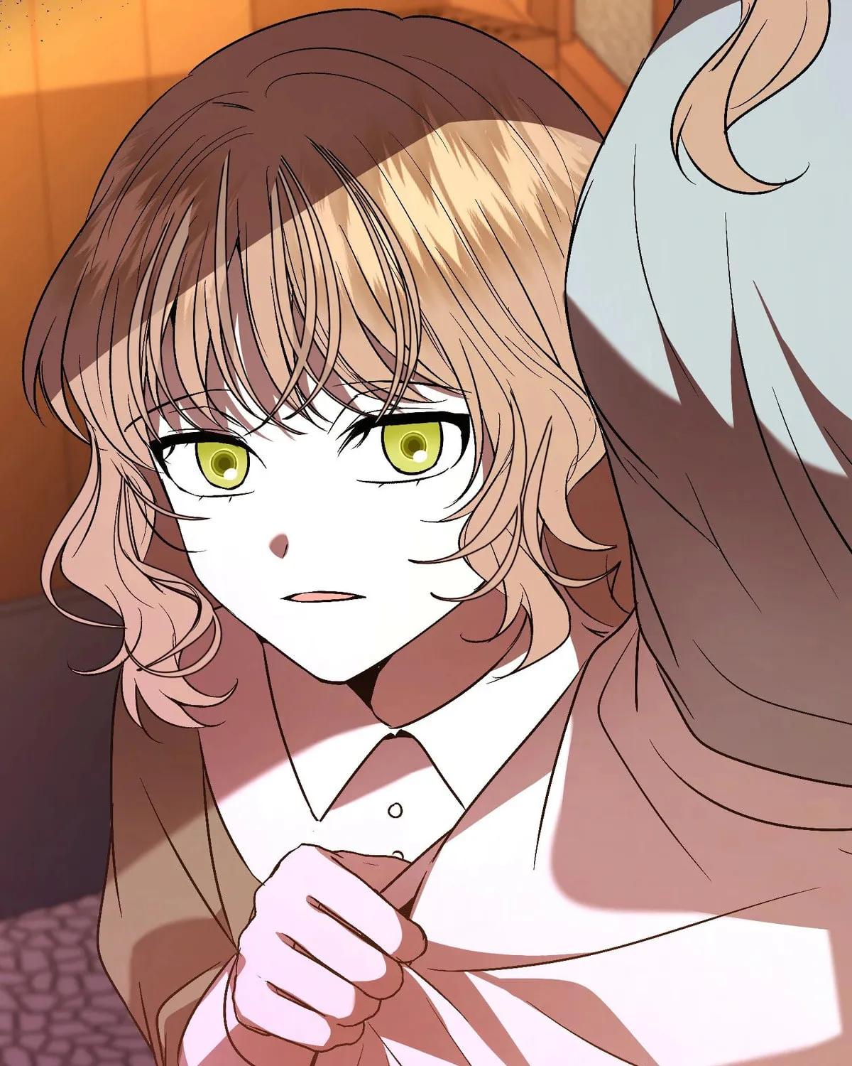 The Handmaiden Dreams at Sunset Chapter 55 page 3 - 