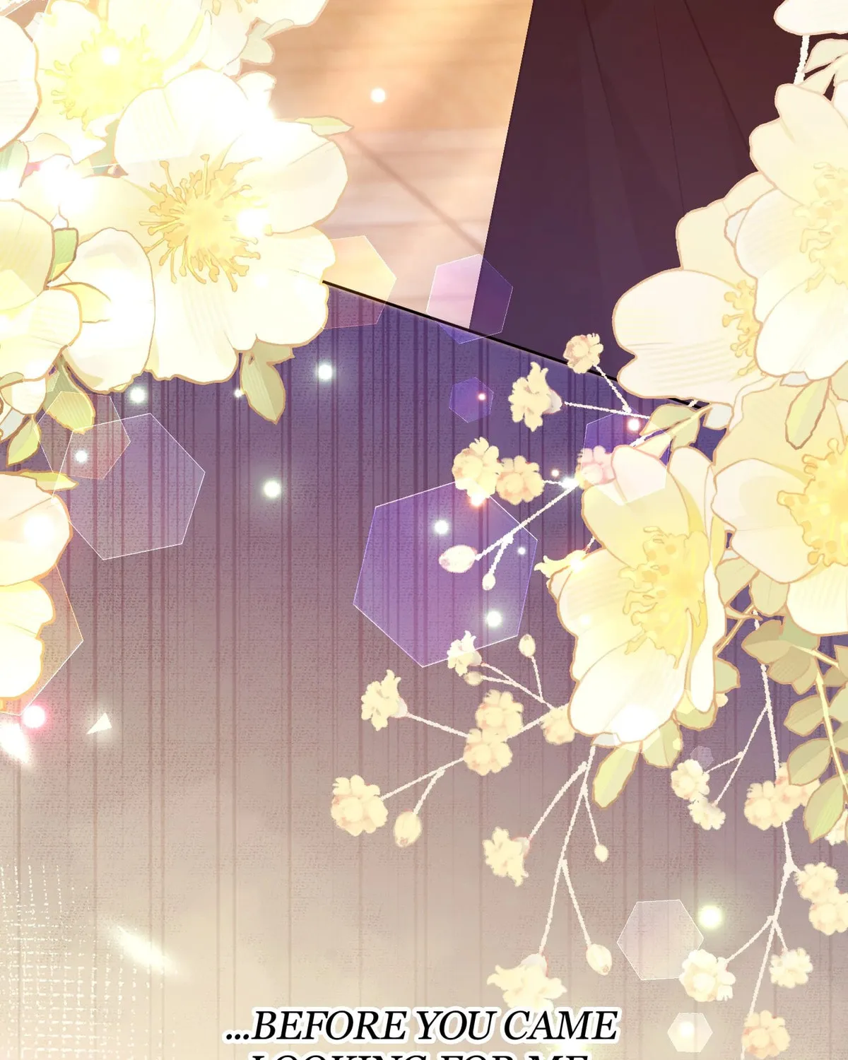 The Handmaiden Dreams at Sunset Chapter 60 page 60 - 
