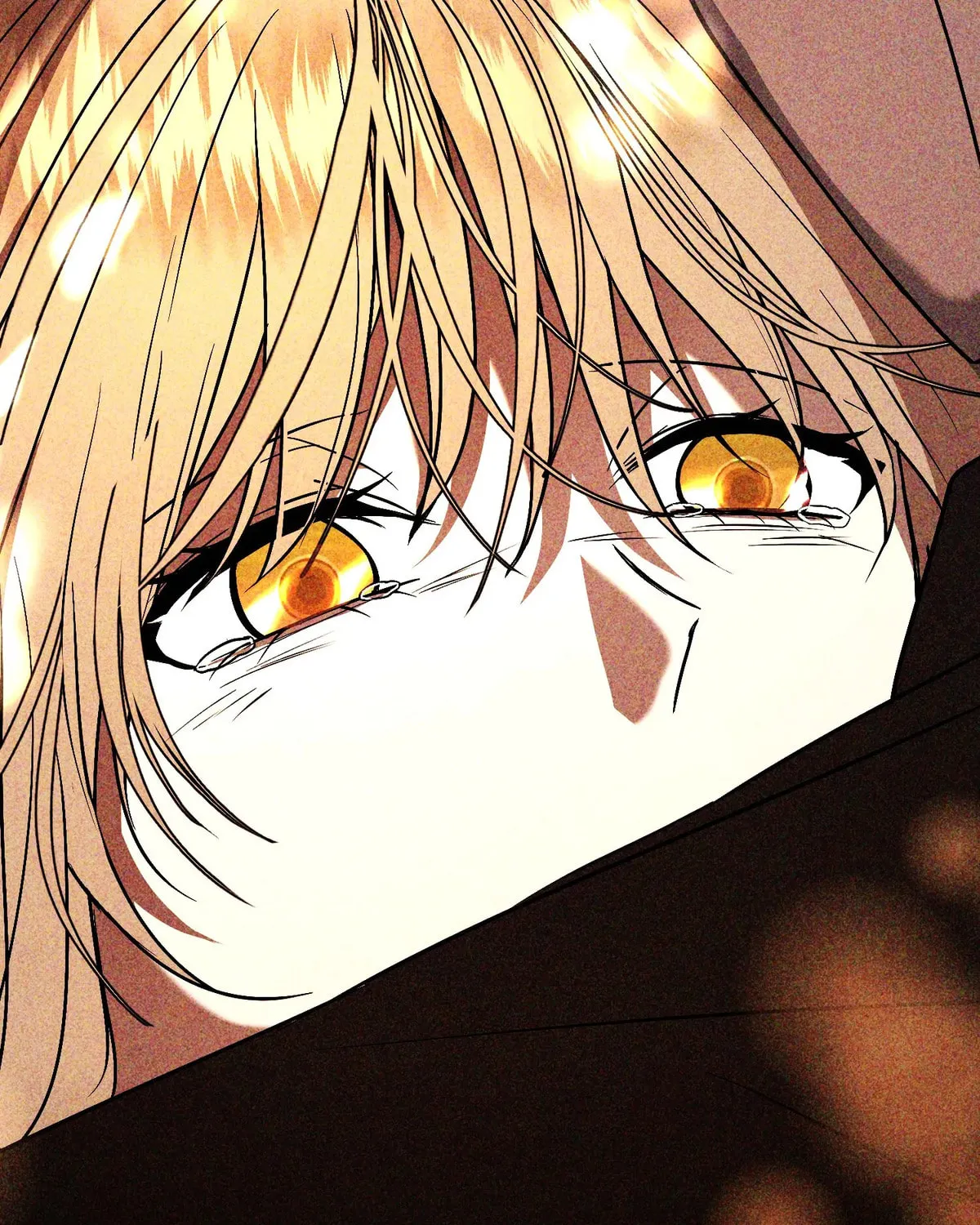 The Handmaiden Dreams at Sunset Chapter 61 page 271 - 