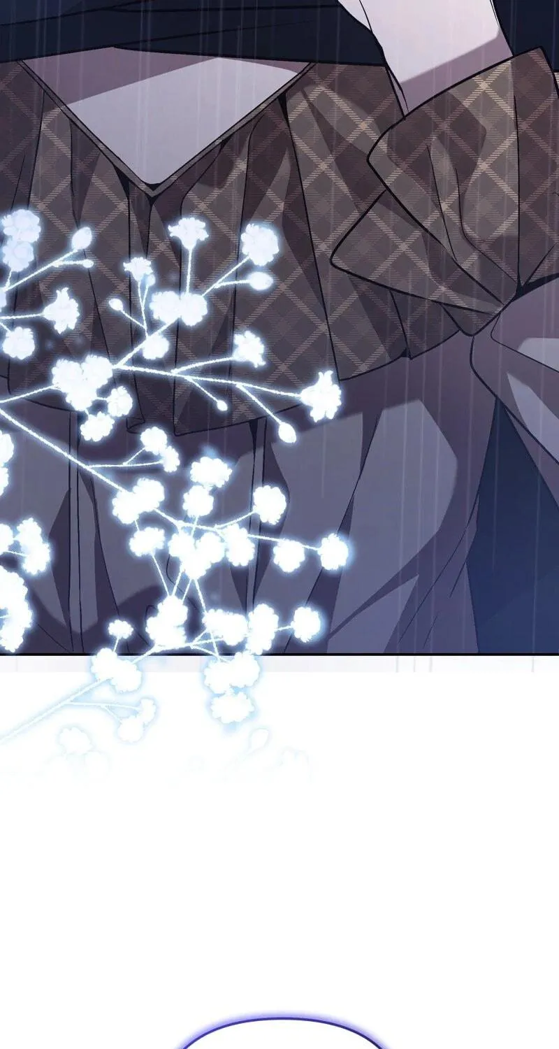 The Handmaiden Dreams at Sunset Chapter 64 page 5 - 