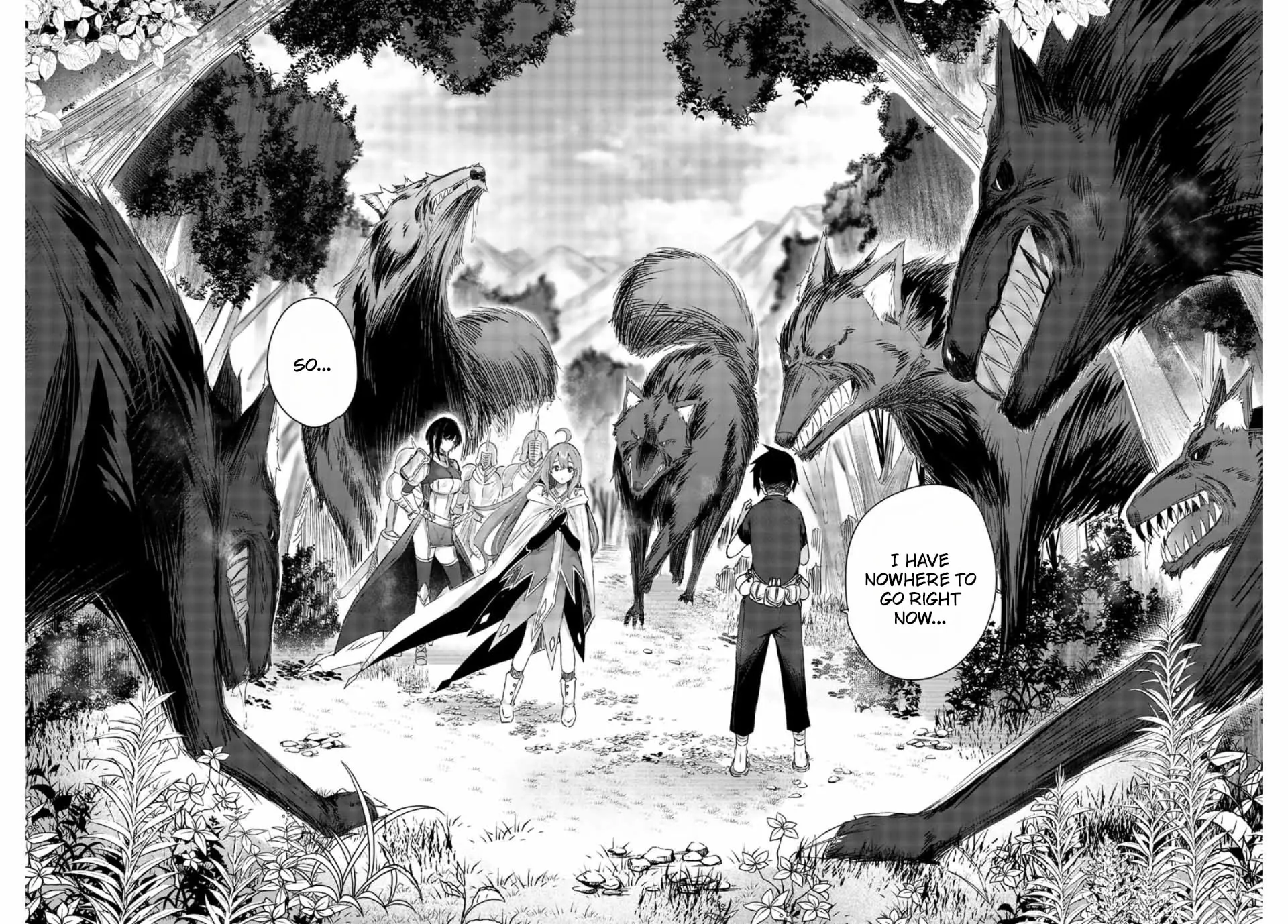 The Healer Ditches the Boonies to Become an S-Rank Adventurer: The Boy from the Hero’s Village Doesn’t Know His Cheat Medicine Is Unrivaled Chapter 1 page 40 - 