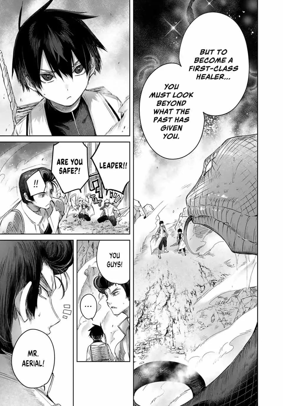 The Healer Ditches the Boonies to Become an S-Rank Adventurer: The Boy from the Hero’s Village Doesn’t Know His Cheat Medicine Is Unrivaled Chapter 14 page 17 - 