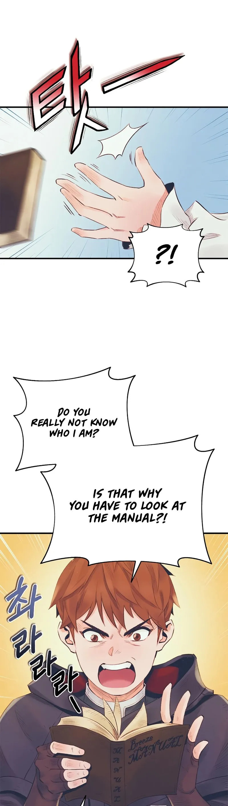 The Healing Solaris Cleric Chapter 15 page 41 - 