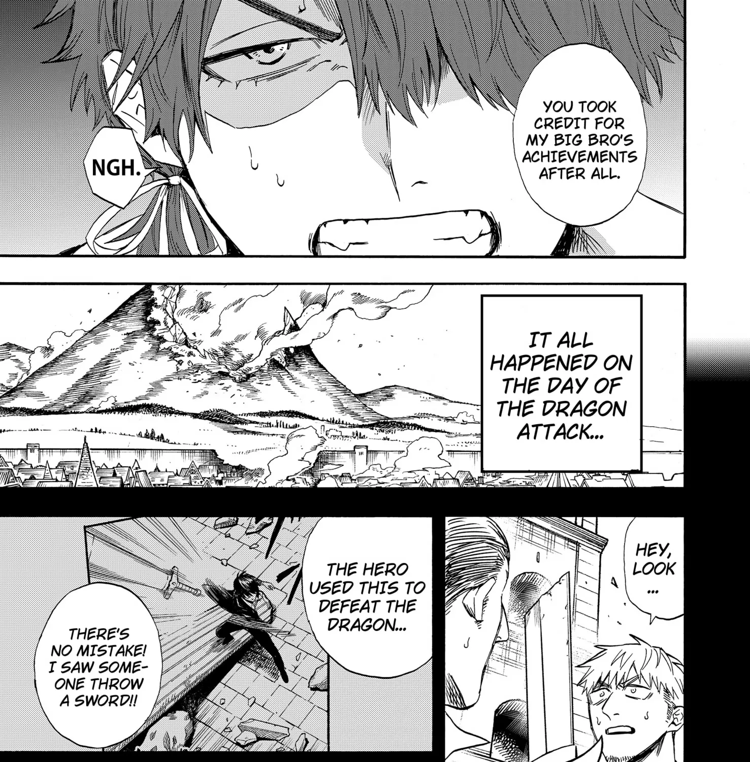 The Hero's Bereaved Family Chapter 11 page 9 - 