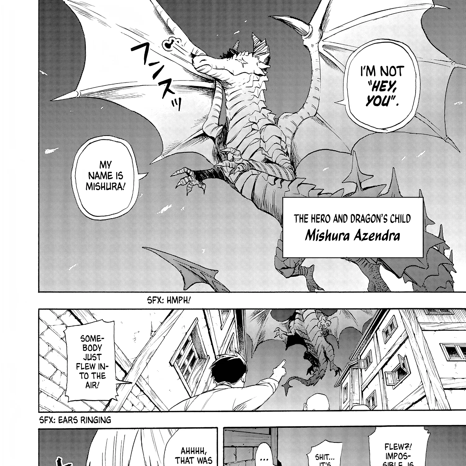 The Hero's Bereaved Family Chapter 2 page 47 - 