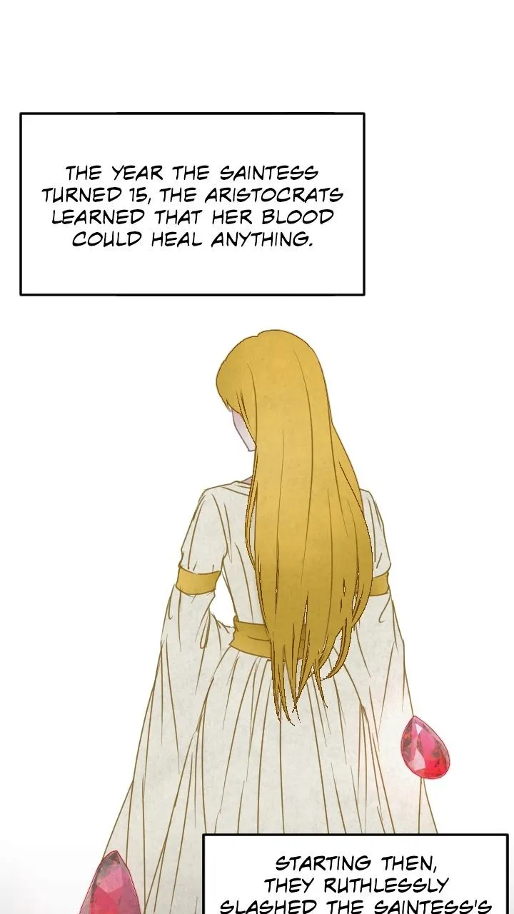 The Hidden Saintess Chapter 1 page 8 - 
