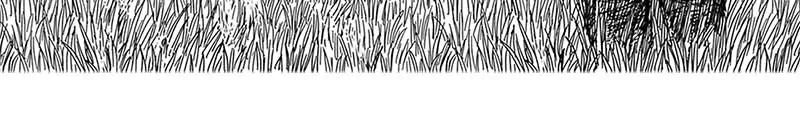 The Horizon Chapter 2 page 4 - 