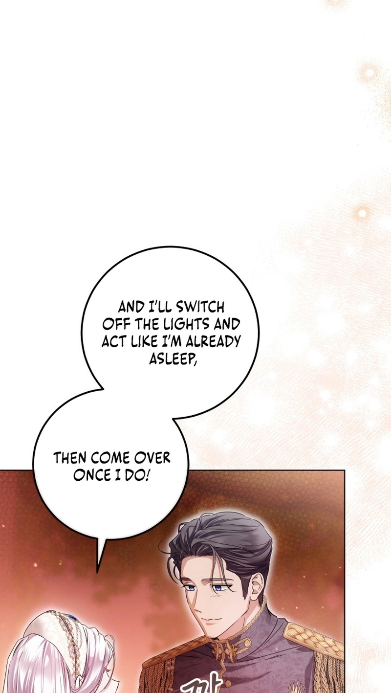 The Incognito Princess Chapter 112 page 19 - 
