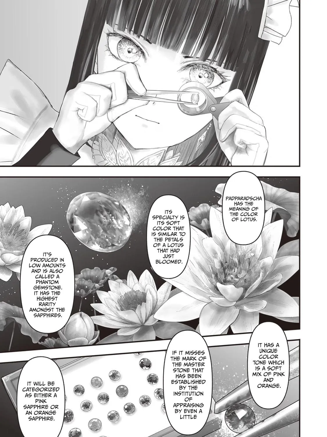 The Jeweler's Maid Chapter 17 page 11 - 