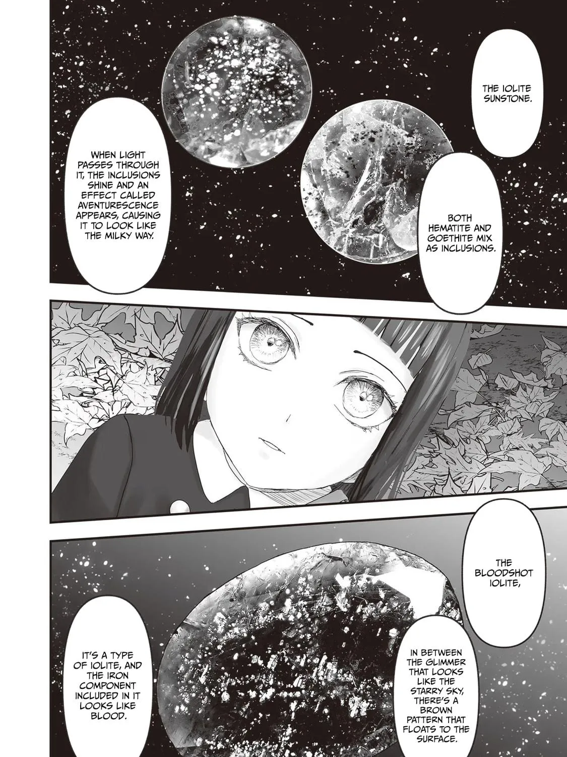 The Jeweler's Maid Chapter 21 page 107 - 
