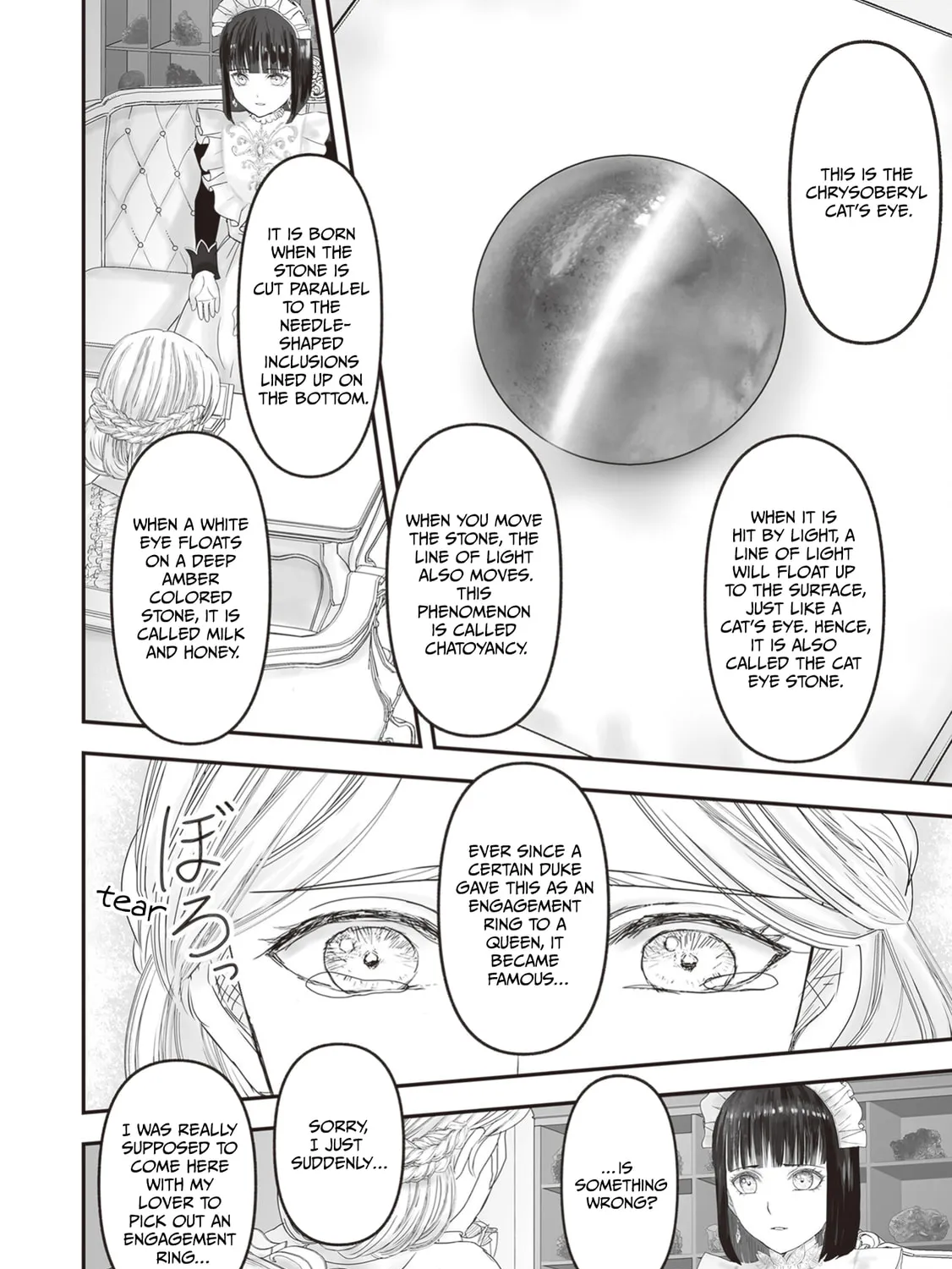 The Jeweler's Maid Chapter 25 page 73 - 