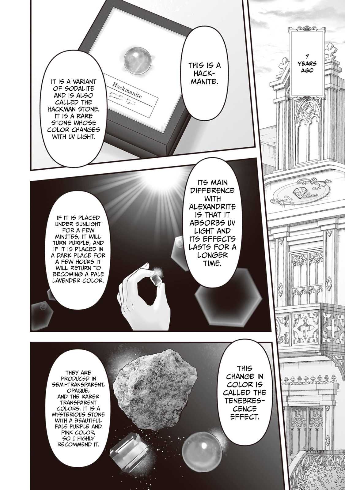 The Jeweler's Maid Chapter 28.5 page 5 - 