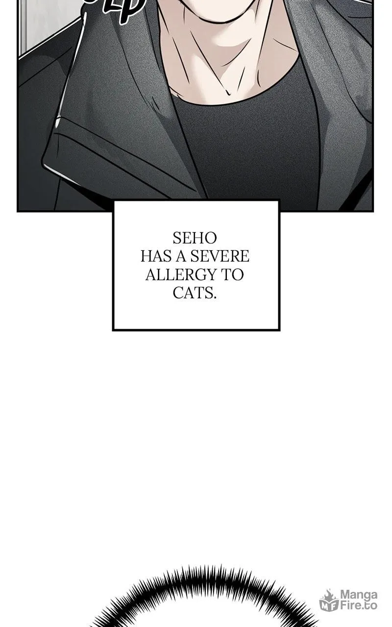 The Ki Sisters Chapter 27 page 80 - 