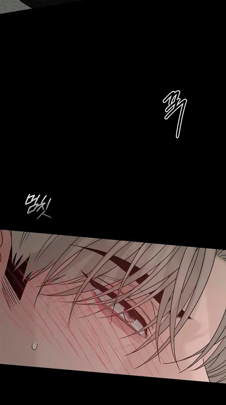 The Kind Intruder Chapter 58 page 69 - 