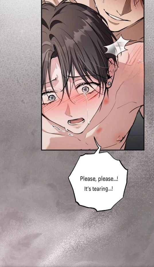 The King Chapter 12 page 19 - 
