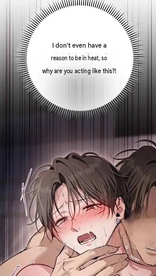 The King Chapter 12 page 50 - 