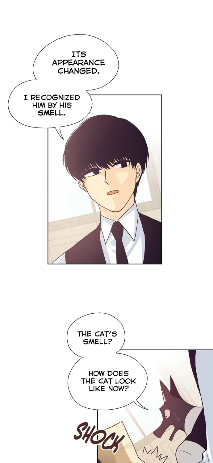 The Lady Project Chapter 28 page 18 - 