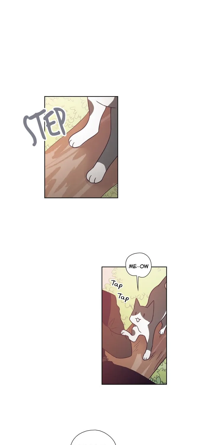 The Lady Project Chapter 31 page 1 - 
