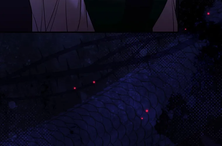 The Lady's Dark Secret Chapter 21 page 96 - 