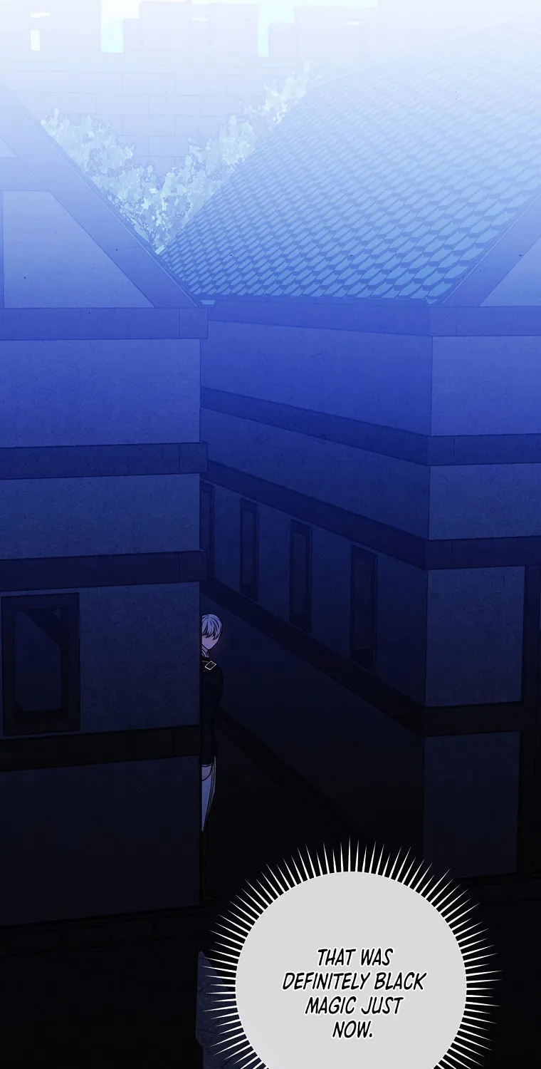 The Lady's Dark Secret Chapter 26 page 32 - 