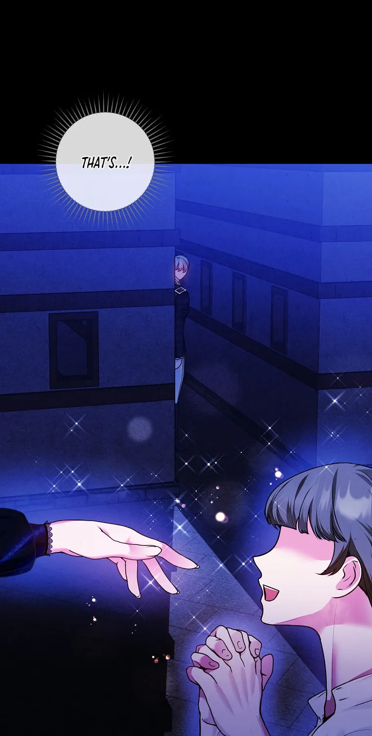 The Lady's Dark Secret Chapter 26 page 46 - 