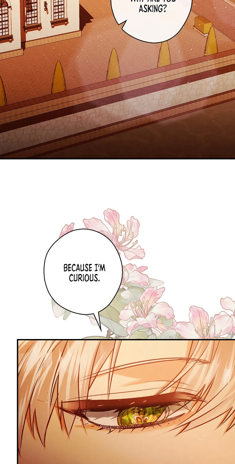 The Lady's Dark Secret Chapter 28 page 73 - 