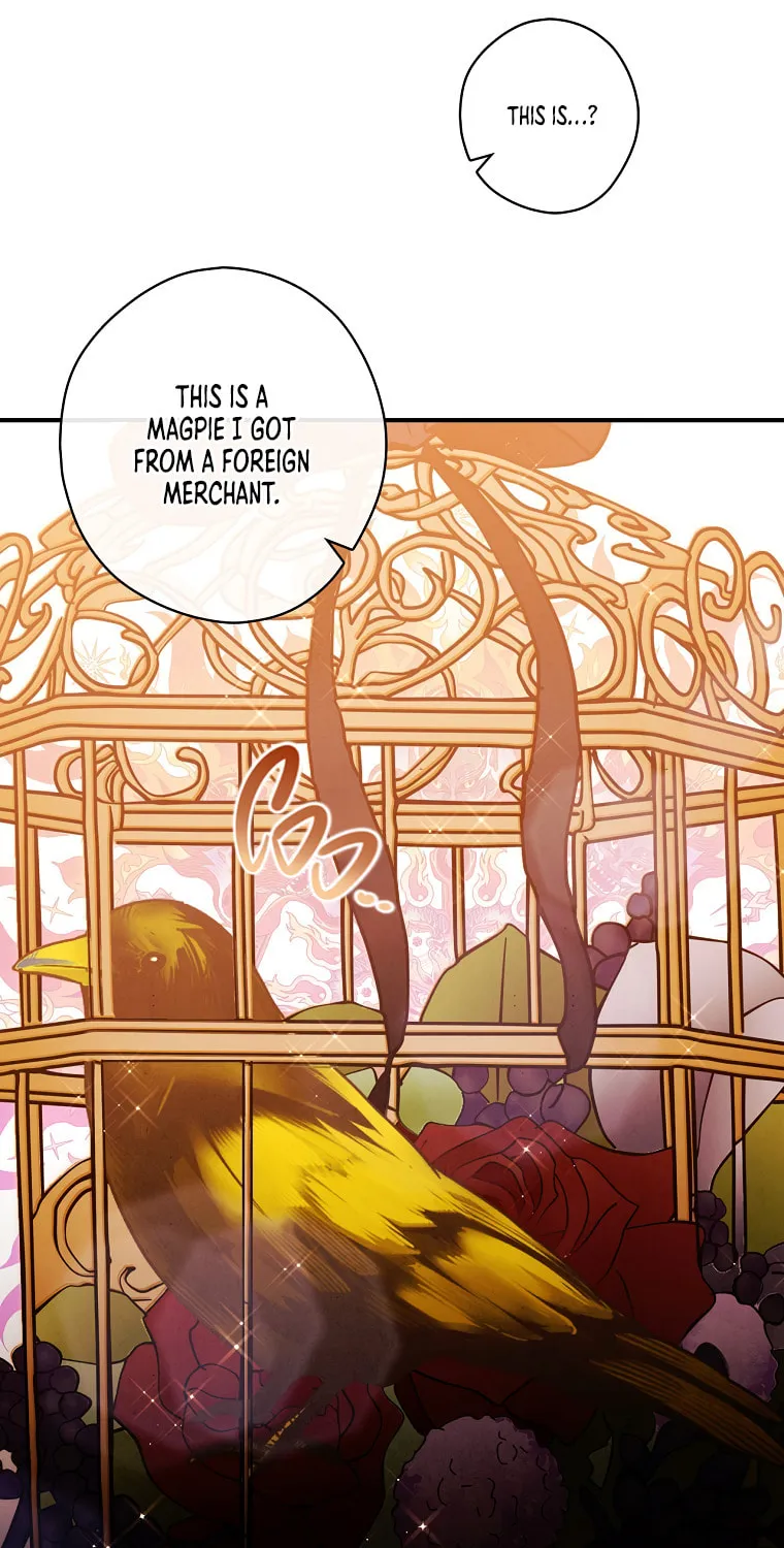 The Lady's Dark Secret Chapter 29 page 68 - 