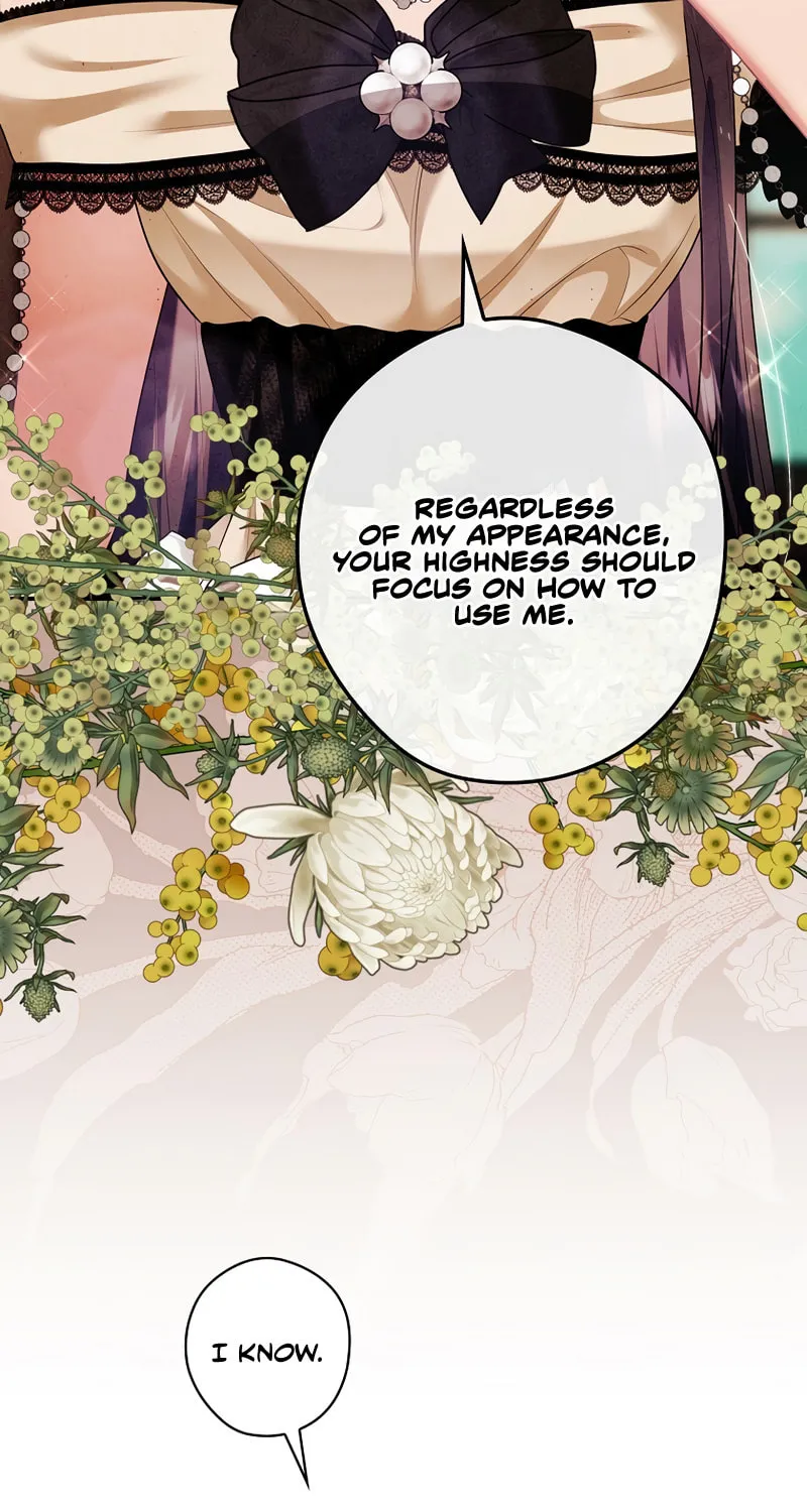 The Lady's Dark Secret Chapter 30 page 64 - 