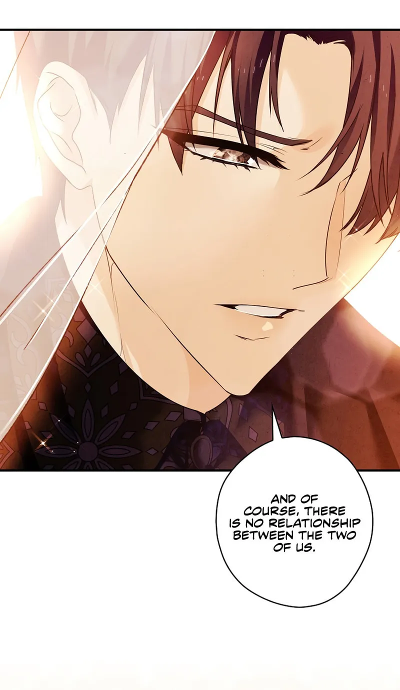 The Lady's Dark Secret Chapter 30 page 65 - 
