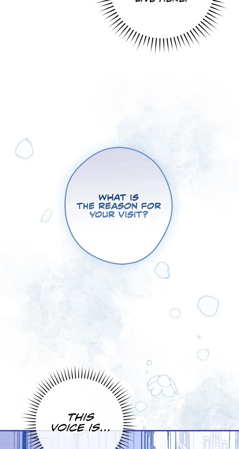 The Lady's Dark Secret Chapter 31 page 47 - 