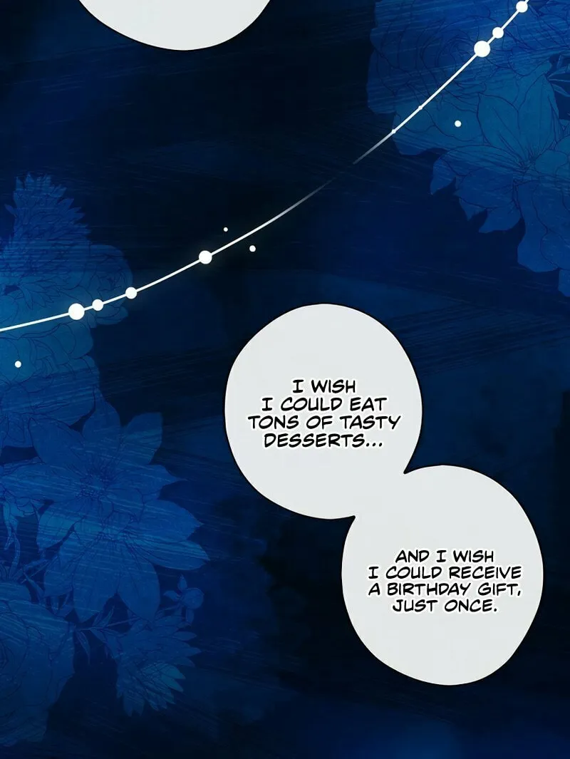 The Lady's Dark Secret Chapter 35 page 71 - 