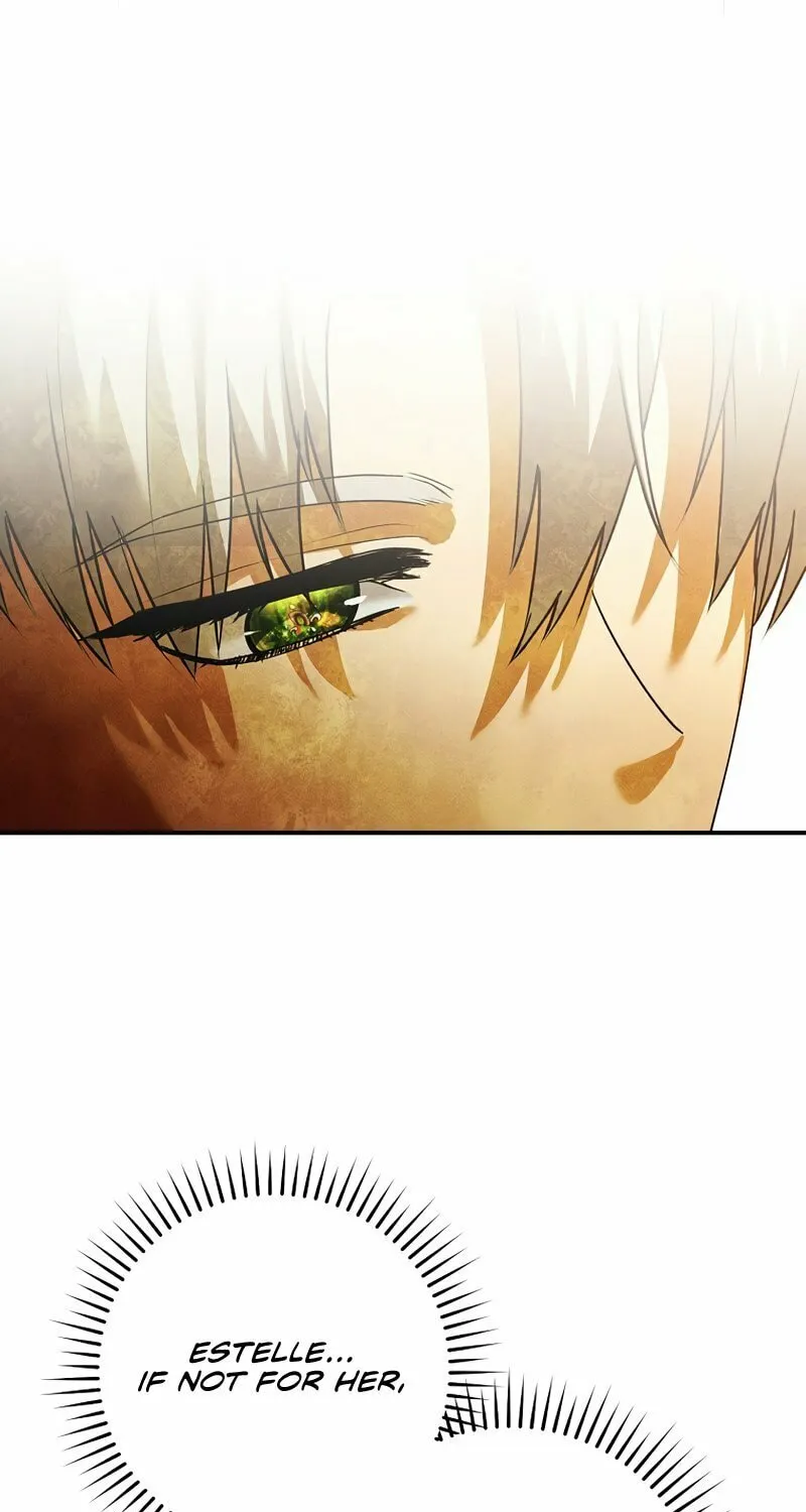 The Lady's Dark Secret Chapter 38 page 65 - 