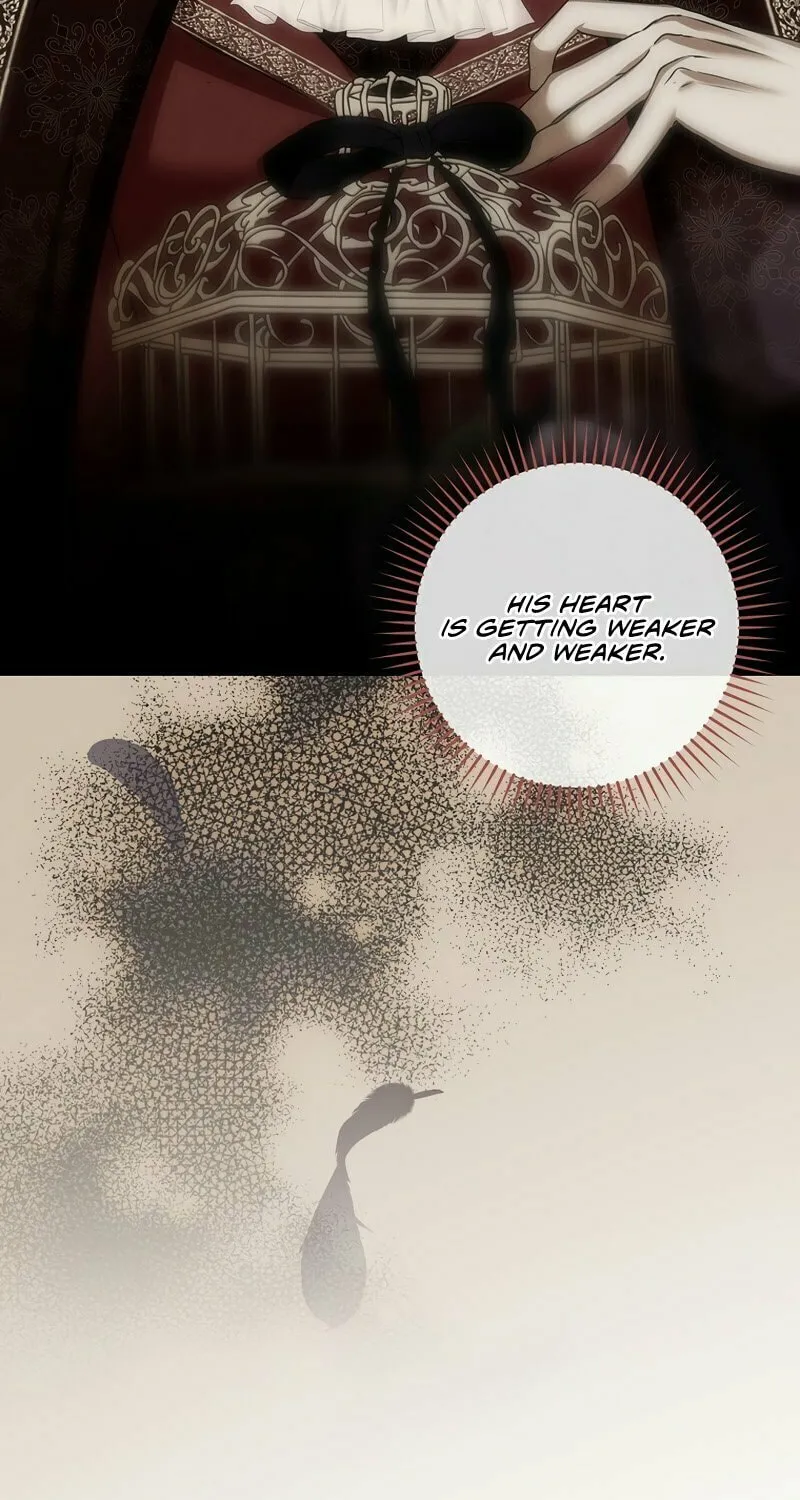 The Lady's Dark Secret Chapter 43 page 35 - 