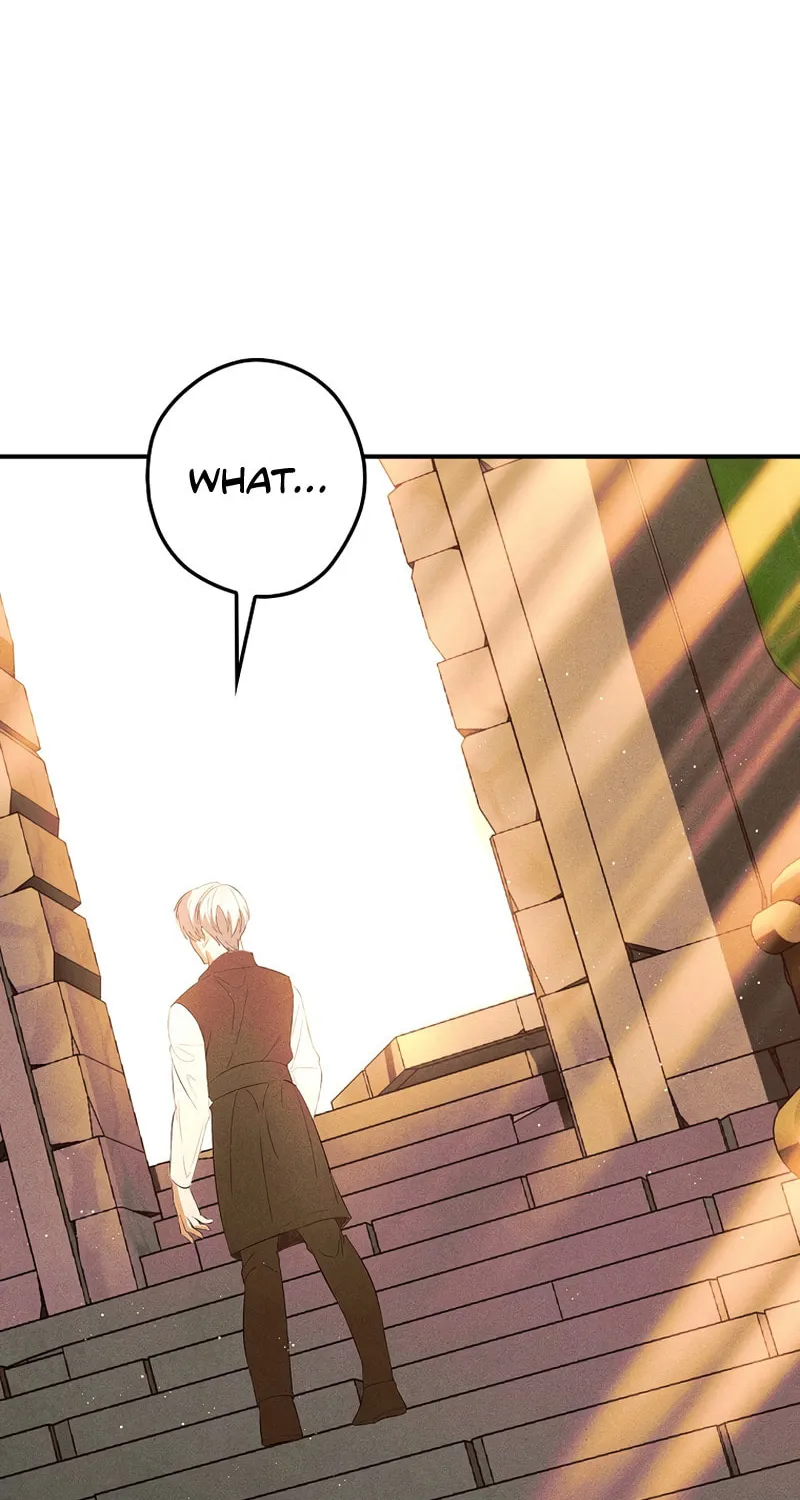 The Lady's Dark Secret Chapter 47 page 62 - 