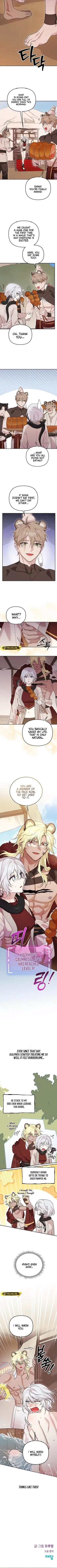  Chapter 21 page 4 - 