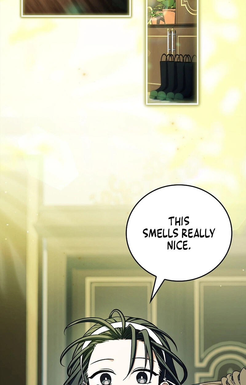 The Legendary Hero is an Academy Honors Student Chapter 108 page 74 - 
