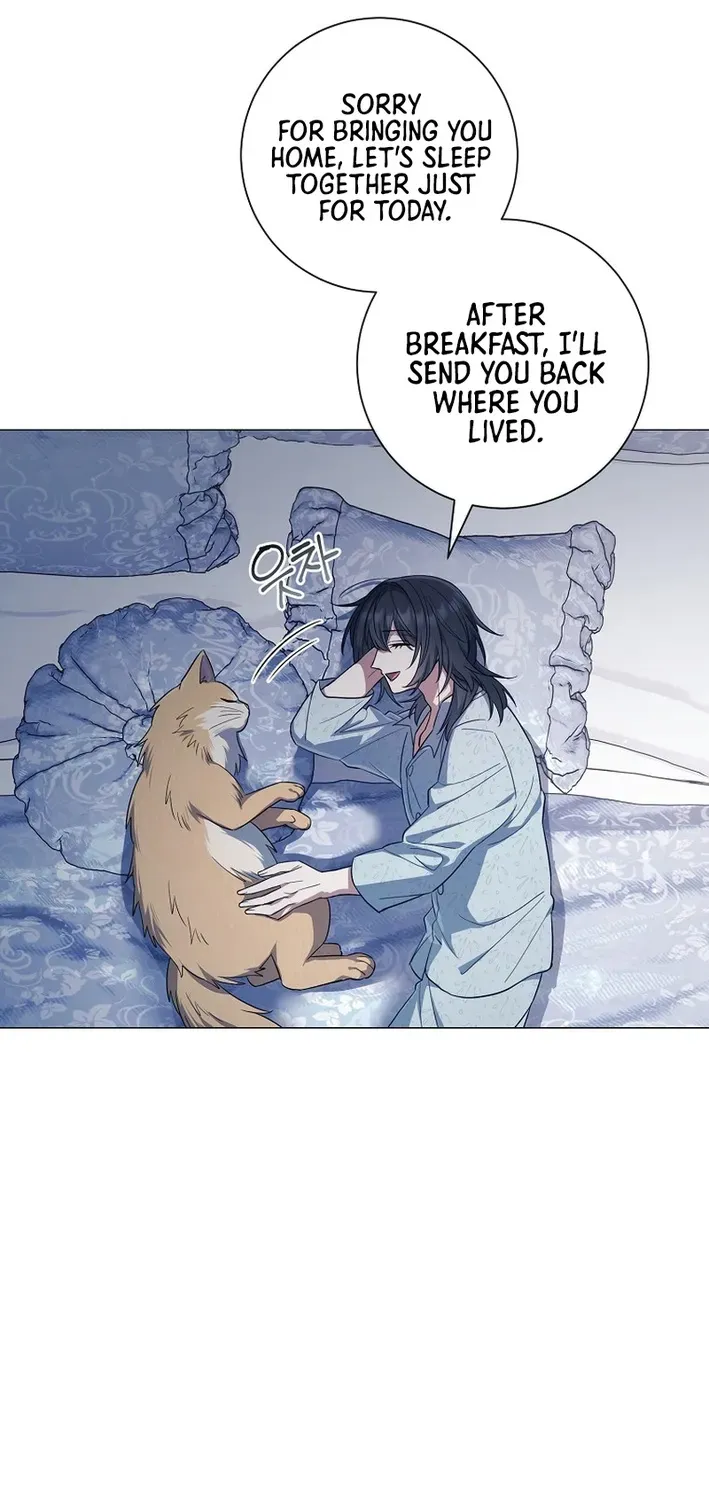 The Magic Lord Chapter 13 page 17 - 
