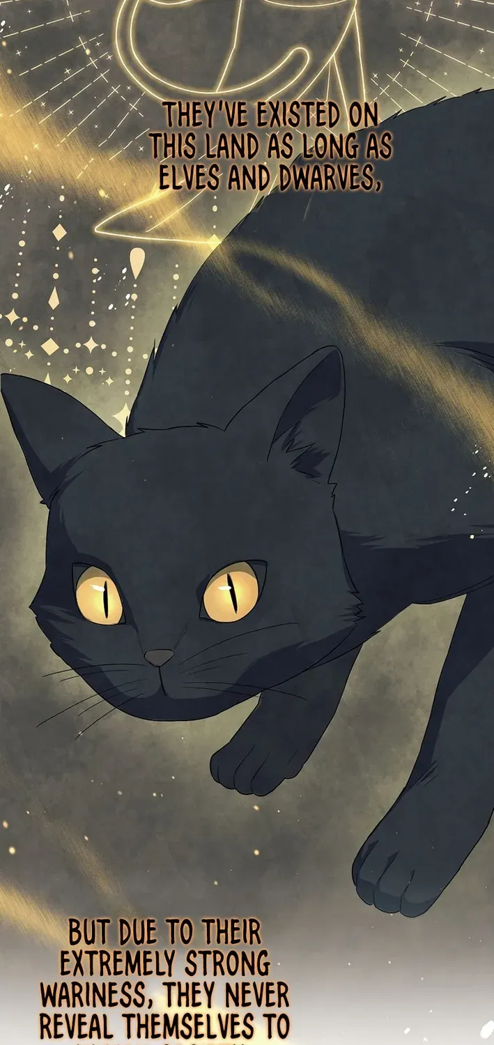 The Magic Lord Chapter 13 page 36 - 