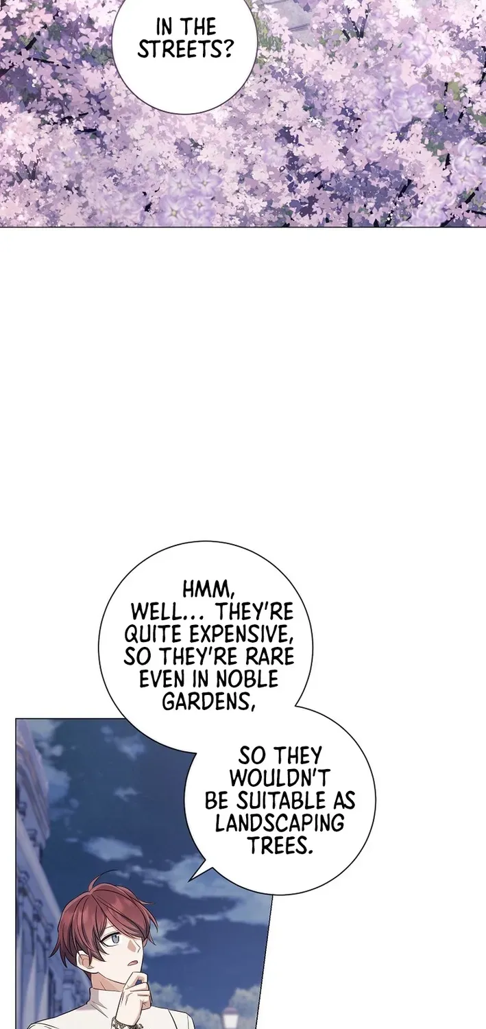 The Magic Lord Chapter 18 page 29 - 