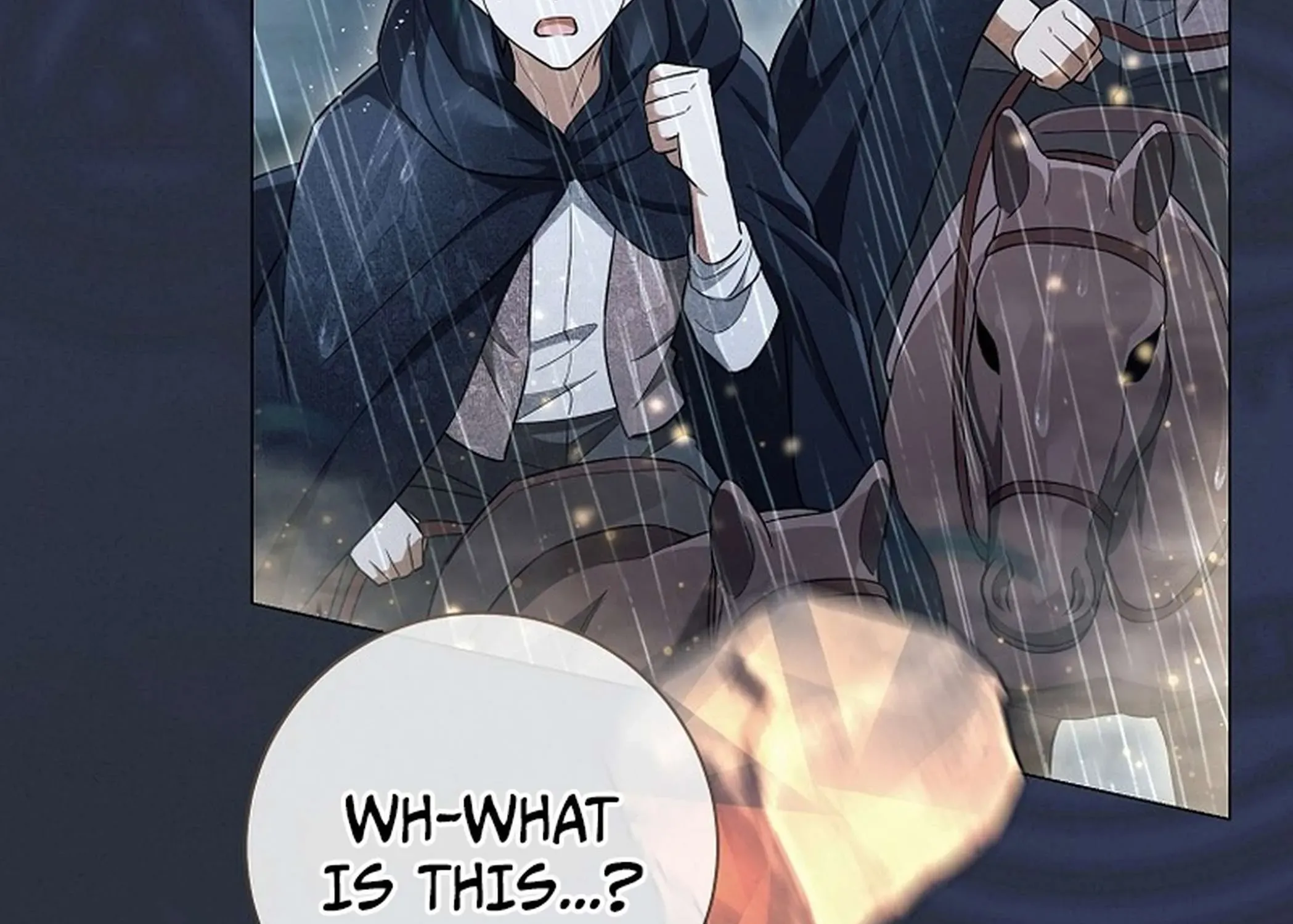 The Magic Lord Chapter 24 page 201 - 