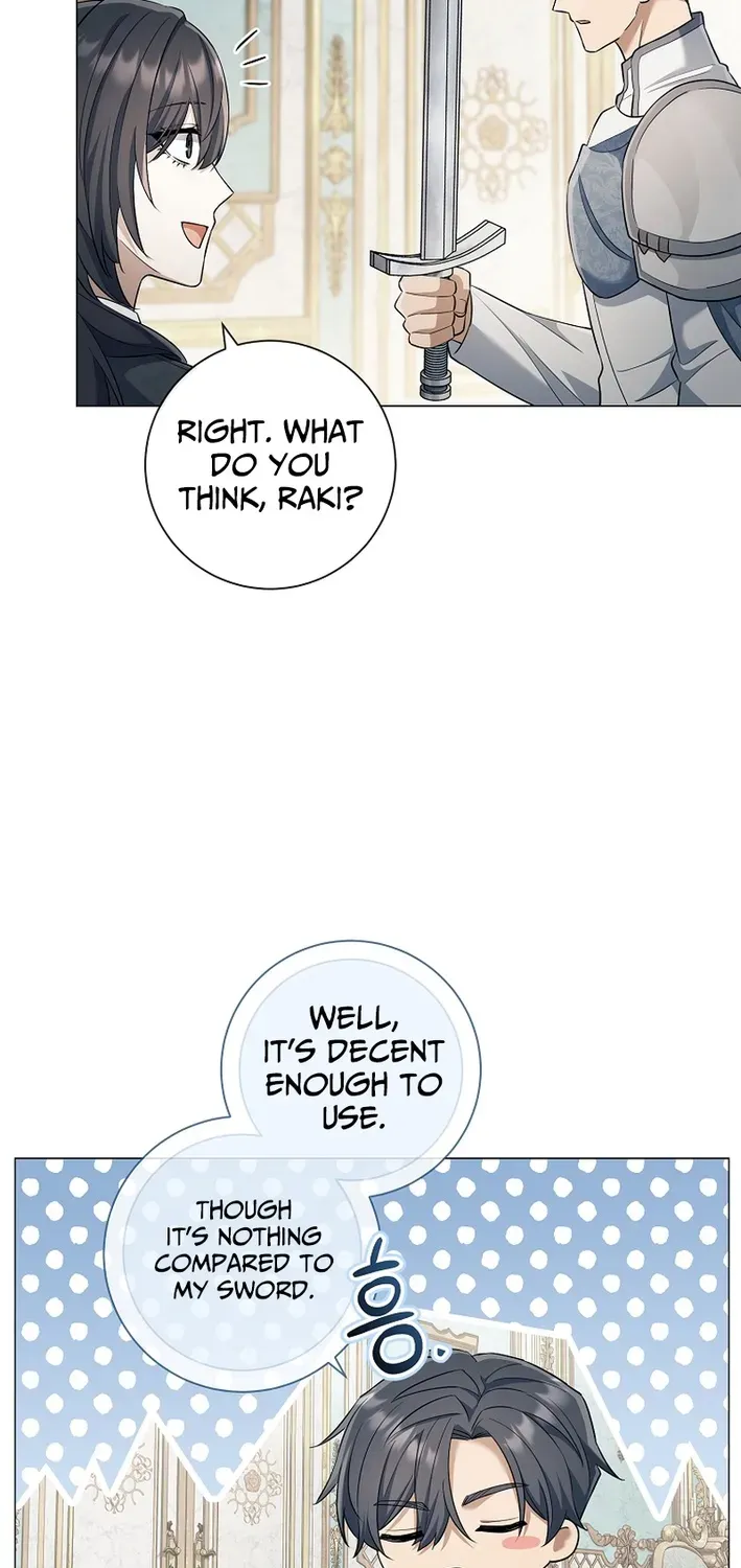 The Magic Lord Chapter 32 page 43 - 