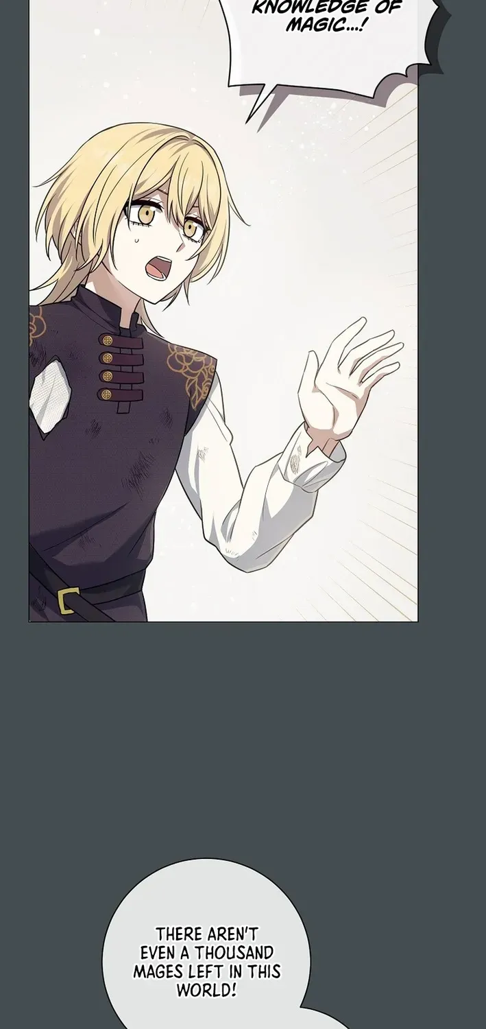 The Magic Lord Chapter 5 page 33 - 