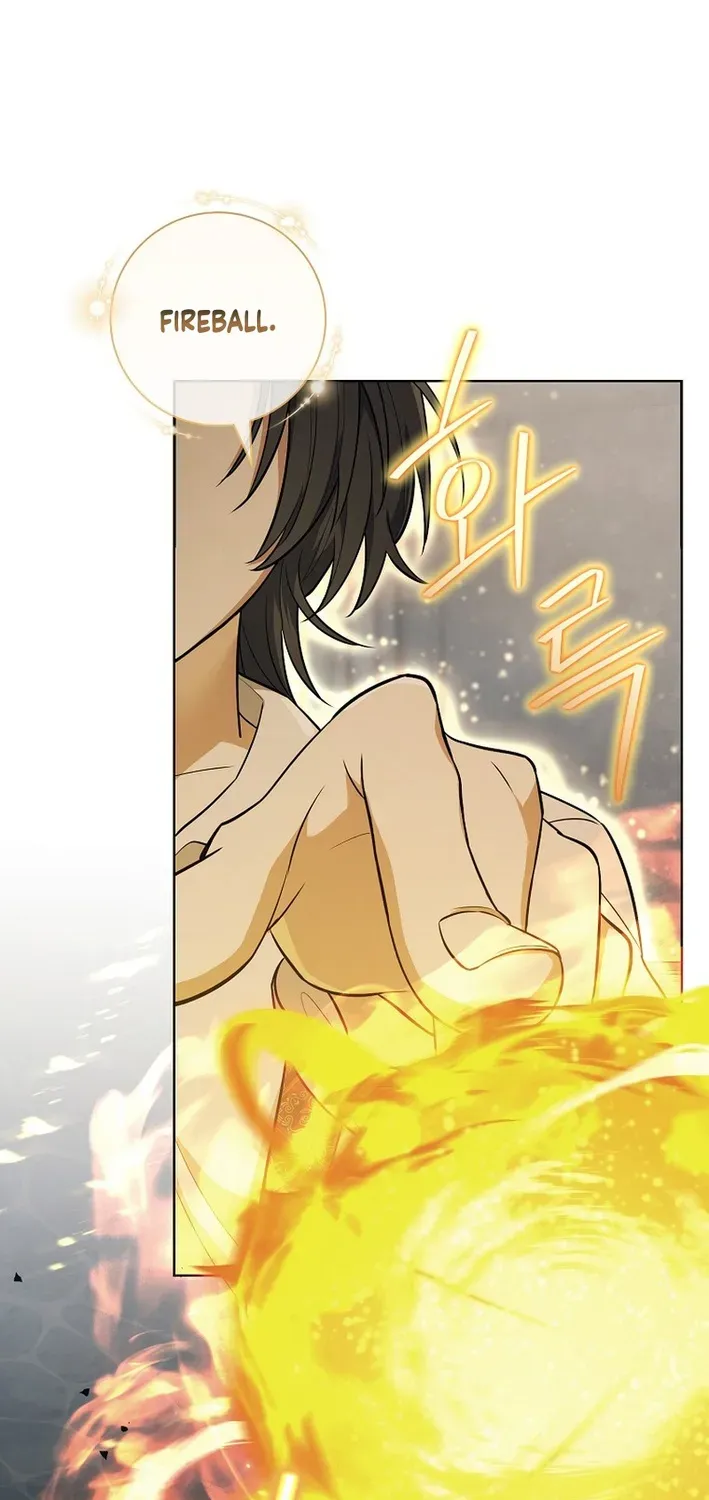 The Magic Lord Chapter 6 page 43 - 