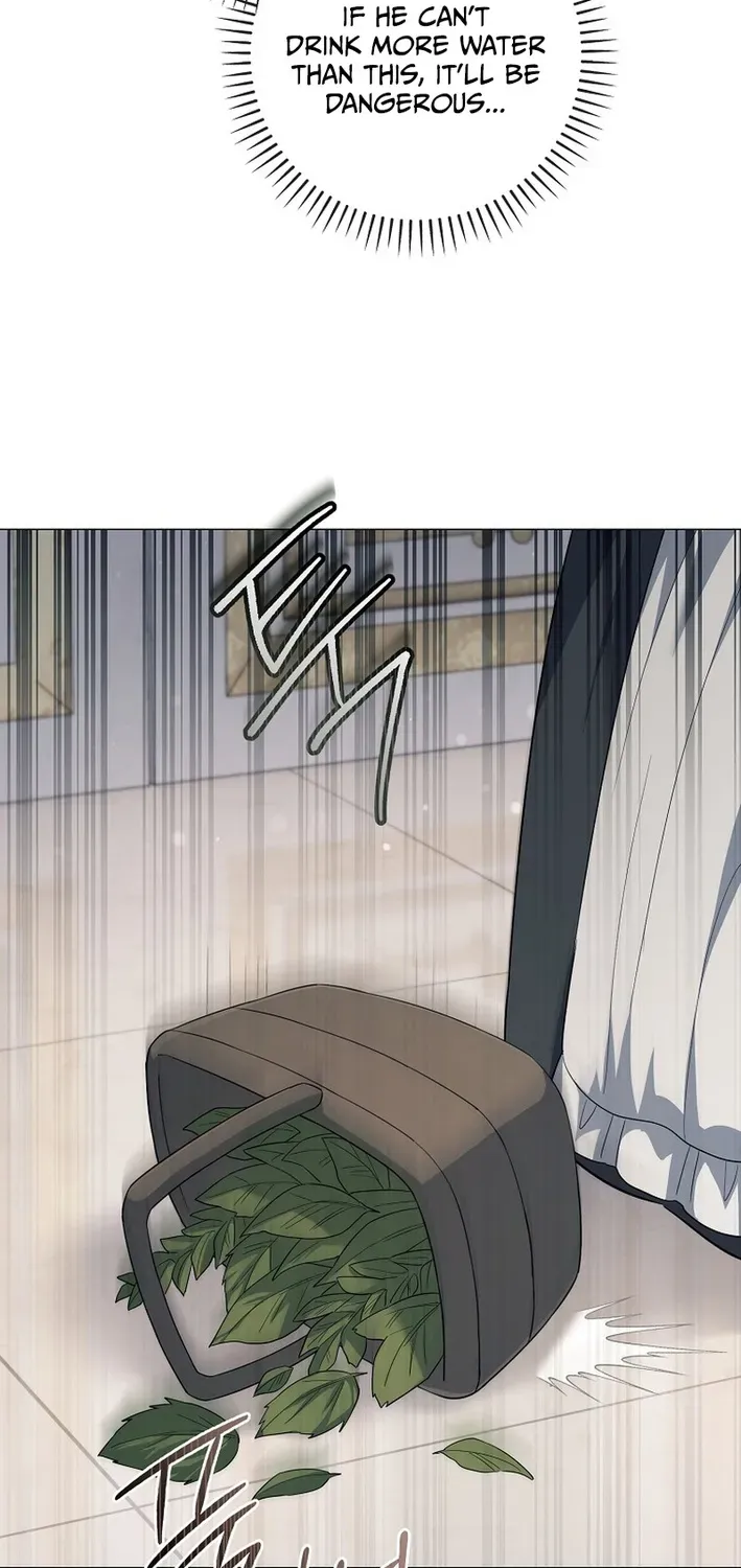 The Magic Lord Chapter 9 page 75 - 
