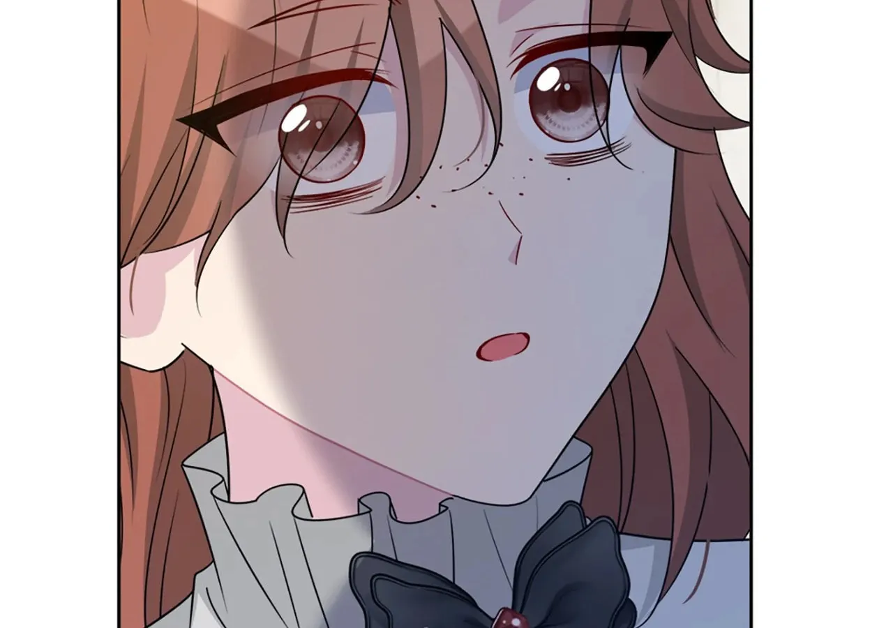 The Maid's Devoted Phantom Duke Chapter 27 page 151 - 