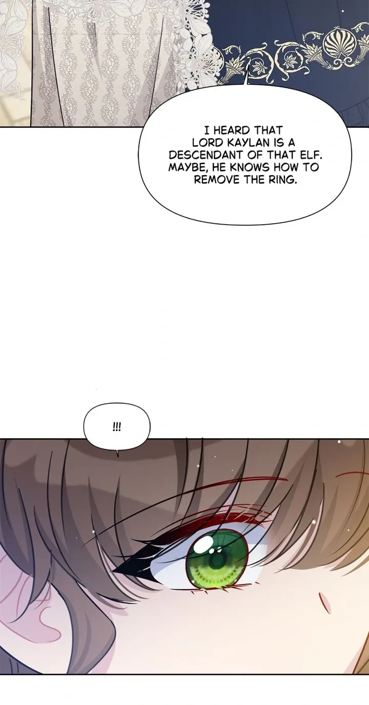 The Maid's Devoted Phantom Duke Chapter 33 page 39 - 