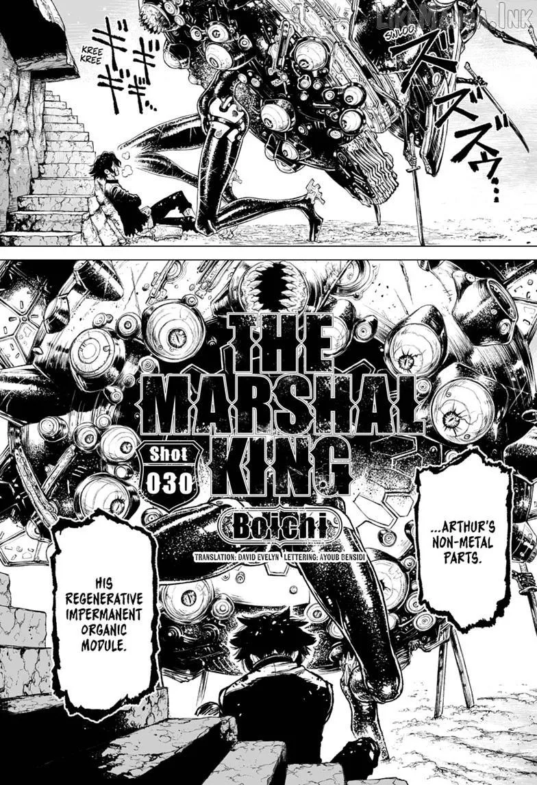 The Marshal King Chapter 30 page 2 - 