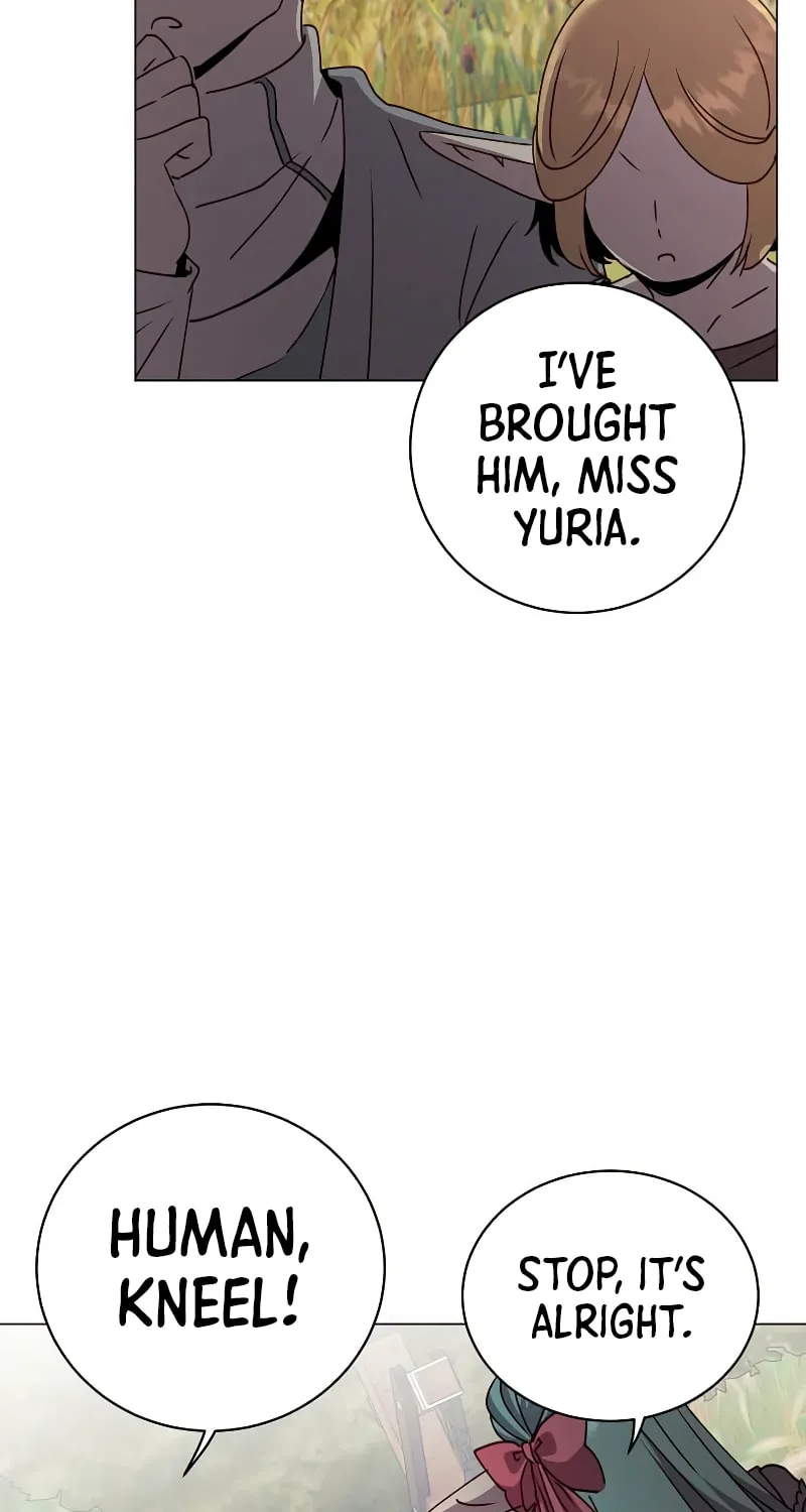 The Max Level Hero Strikes Back! Chapter 133 page 42 - 