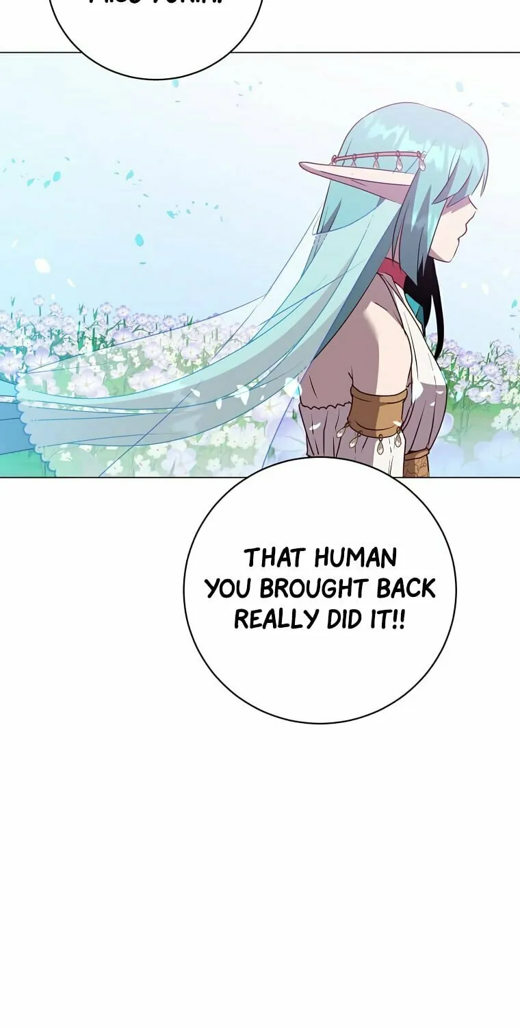 The Max Level Hero Strikes Back! Chapter 139 page 30 - 